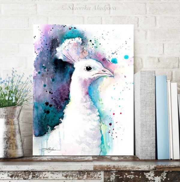 White Peacock