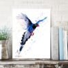 Taiwan Blue Magpie Taiwan Blue Magpie
