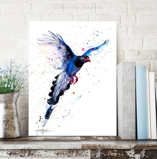 Taiwan Blue Magpie Taiwan Blue Magpie