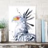 Secretary bird Secretary bird