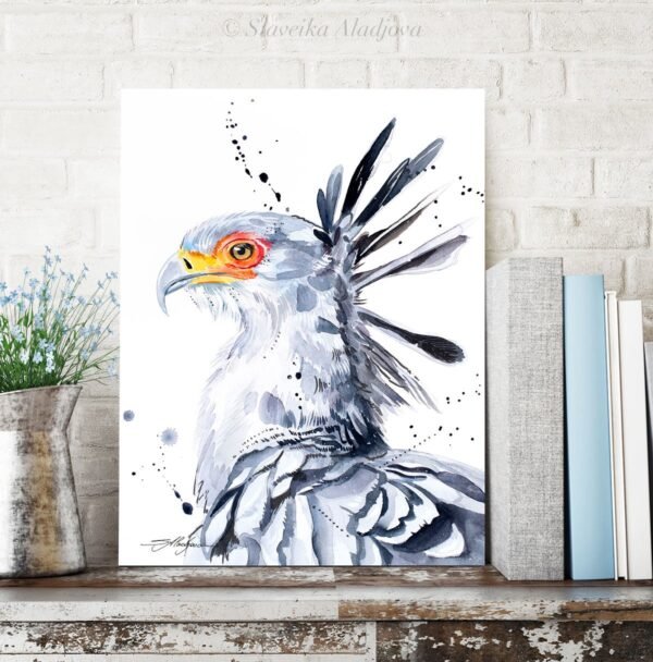 Secretary bird Secretary bird