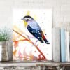 Spotted Pardalote Spotted Pardalote