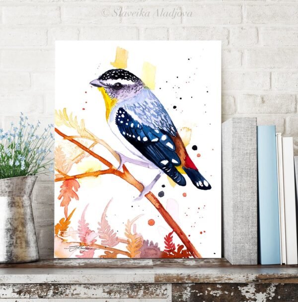 Spotted Pardalote Spotted Pardalote