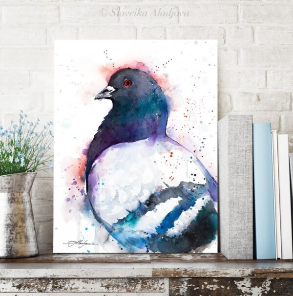 Pigeon