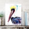 Brown pelican