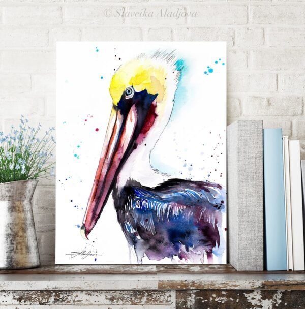 Brown pelican