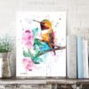 Rufous hummingbird Rufous hummingbird