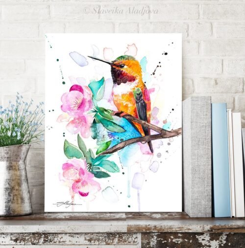 Rufous hummingbird