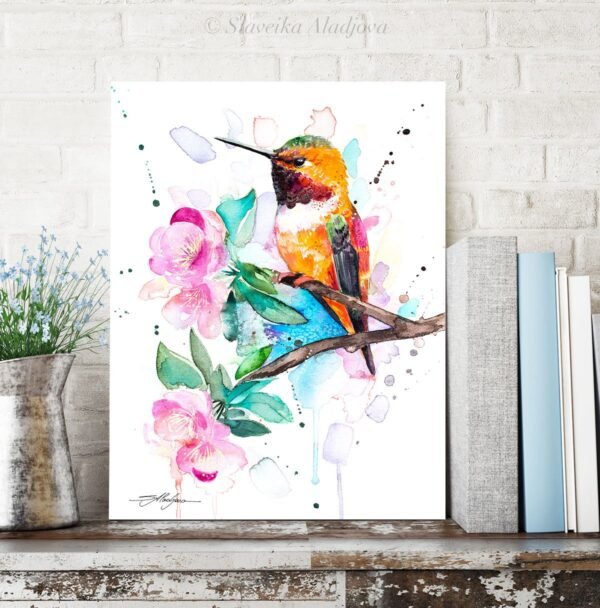 Rufous hummingbird Rufous hummingbird