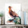 Red grouse