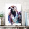 Cinereous vulture, Eurasian black vulture Cinereous vulture, Eurasian black vulture