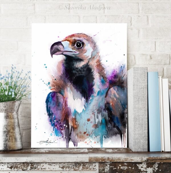 Cinereous vulture, Eurasian black vulture Cinereous vulture, Eurasian black vulture
