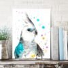 Cockatiel parrot