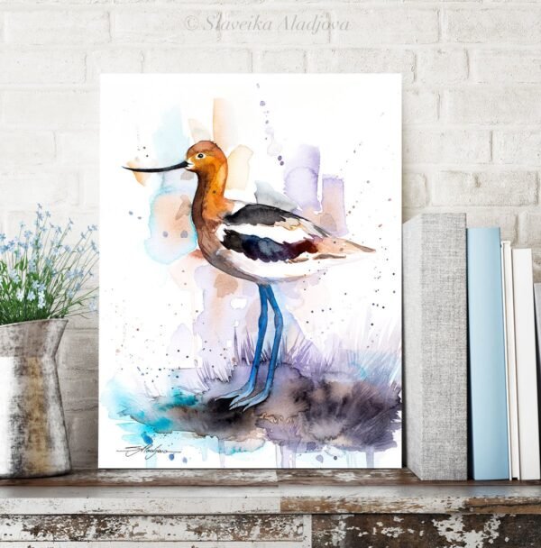 American Avocet