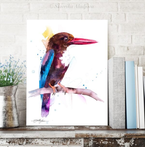 White-throated Kingfisher White-throated Kingfisher
