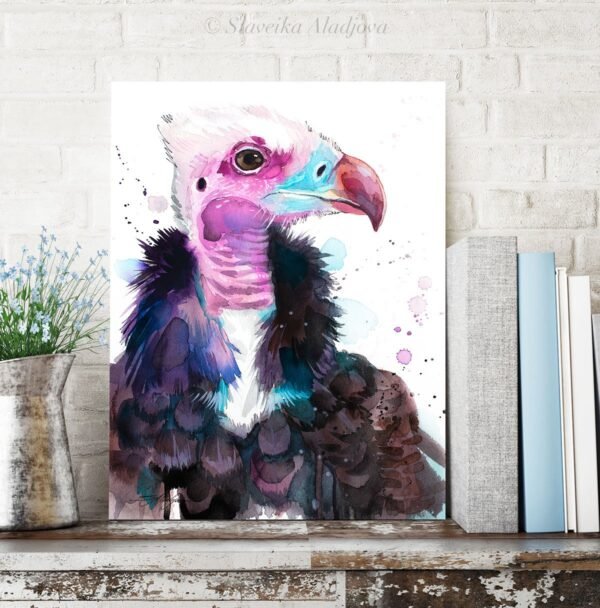White-headed vulture