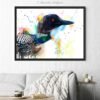 Great northern diver