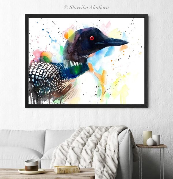 Great northern diver