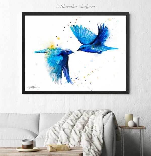 Mountain bluebird