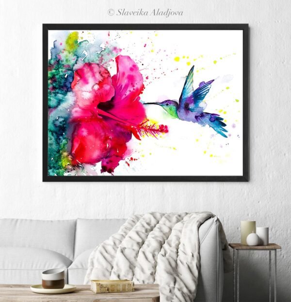Violetear Hummingbird