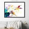 Hummingbirds Hummingbirds