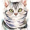 American Shorthair watercolor painting print by Slaveika Aladjova