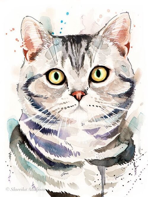 American Shorthair watercolor painting print by Slaveika Aladjova
