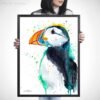 Atlantic puffin