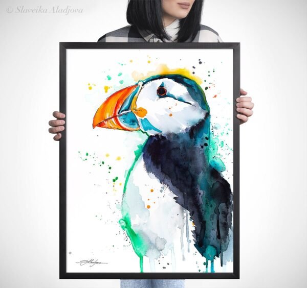 Atlantic puffin