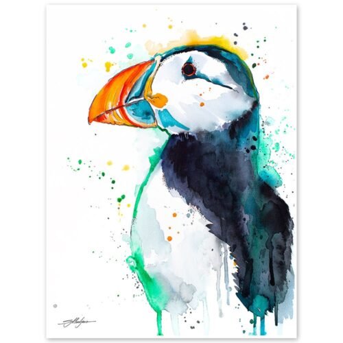 Atlantic puffin