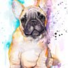 Baby fawn french bulldog watercolor painting print by Slaveika Aladjova