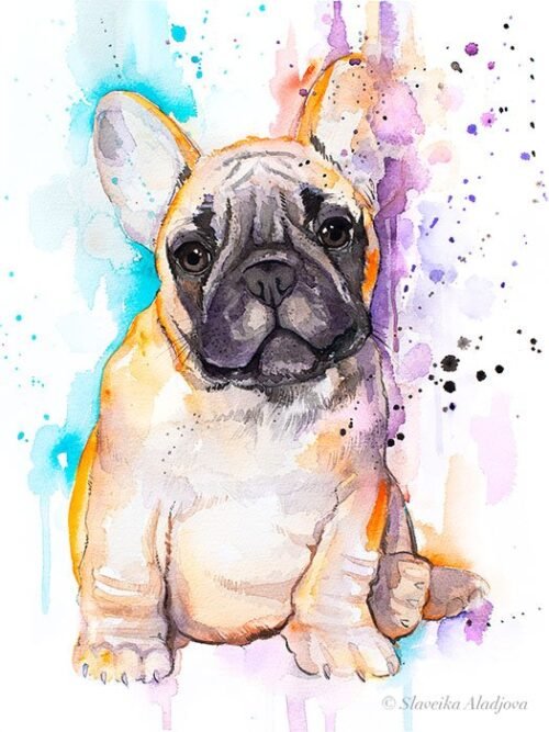 Baby fawn french bulldog watercolor painting print by Slaveika Aladjova