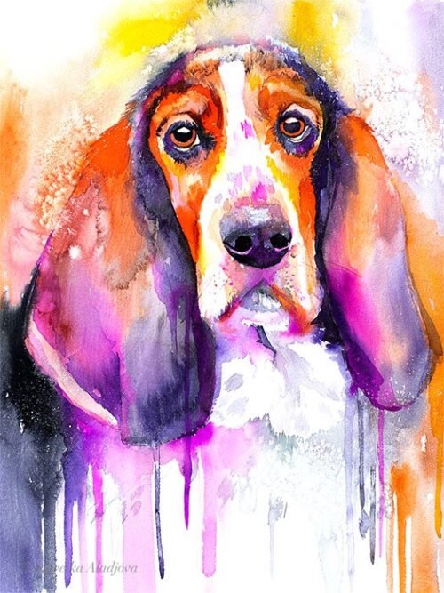 Basset watercolor painting print by Slaveika Aladjova