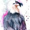 Bearded vulture