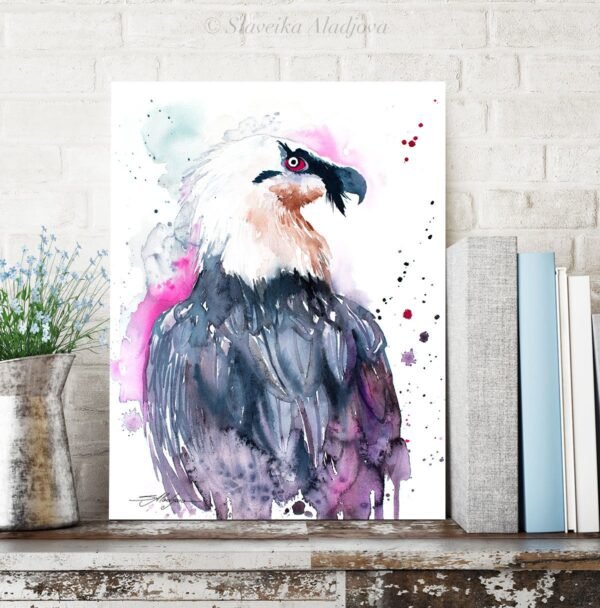 Bearded vulture