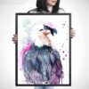 Bearded vulture