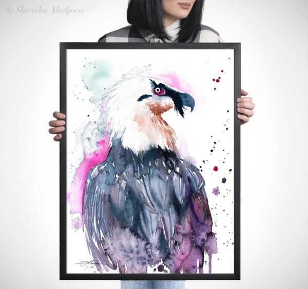 Bearded vulture