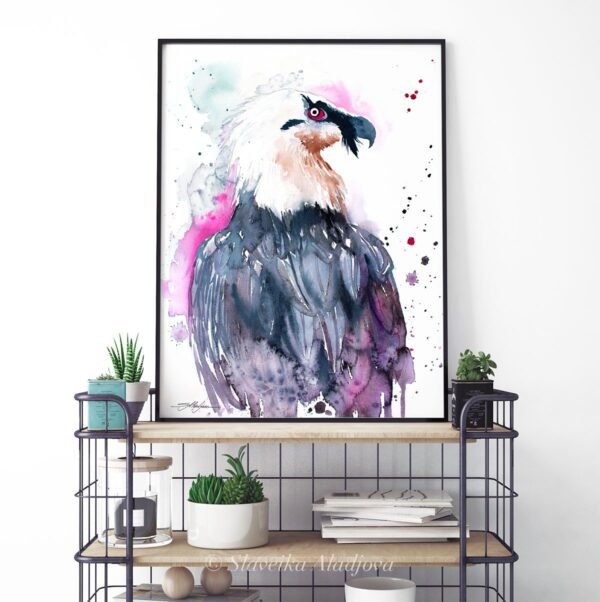 Bearded vulture