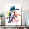 Belted Kingfisher Belted Kingfisher