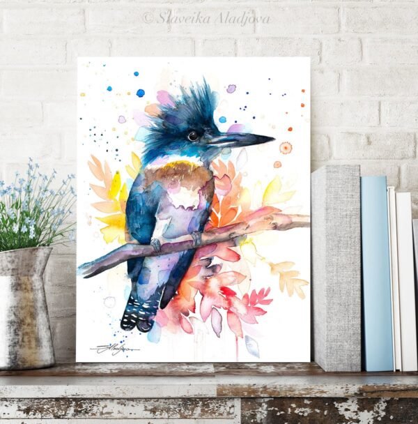 Belted Kingfisher Belted Kingfisher