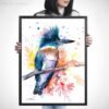 Belted Kingfisher Belted Kingfisher