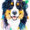 Bernese Mountain Dog watercolor painting print by Slaveika Aladjova