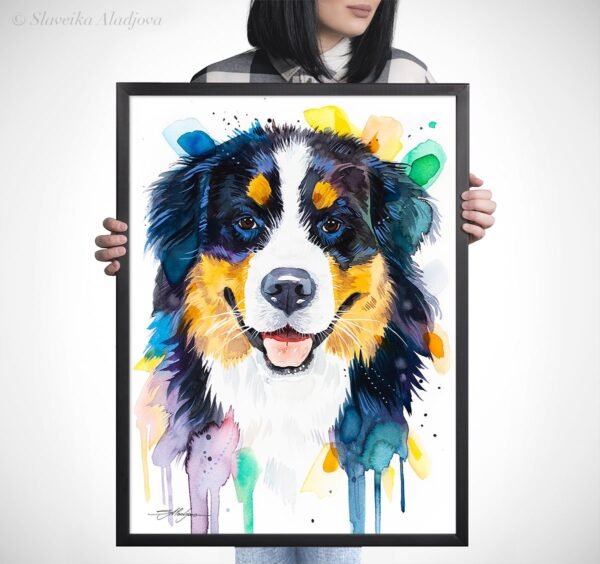 Bernese Mountain Dog watercolor painting print by Slaveika Aladjova