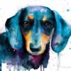 Black Dachshund watercolor painting print by Slaveika Aladjova