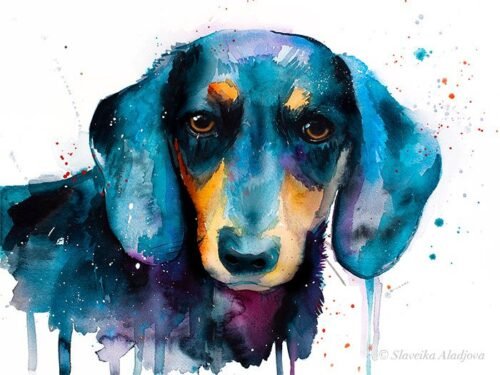 Black Dachshund watercolor painting print by Slaveika Aladjova