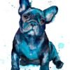 Black French Bulldog Baby watercolor painting print by Slaveika Aladjova Black French Bulldog Baby watercolor painting print by Slaveika Aladjova