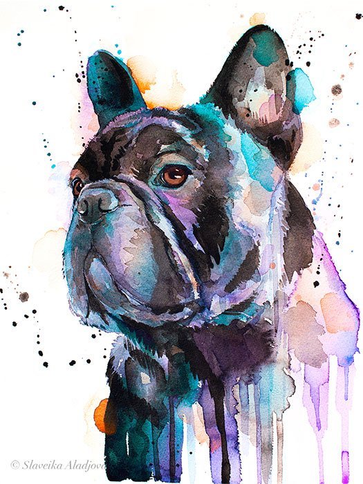 Black French Bulldog watercolor painting print by Slaveika Aladjova