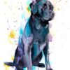 Black Labrador watercolor painting print by Slaveika Aladjova