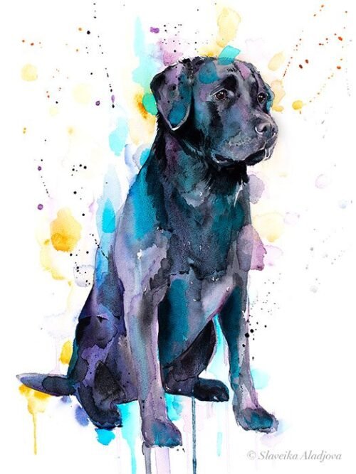 Black Labrador watercolor painting print by Slaveika Aladjova