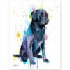 Black Labrador watercolor painting print by Slaveika Aladjova